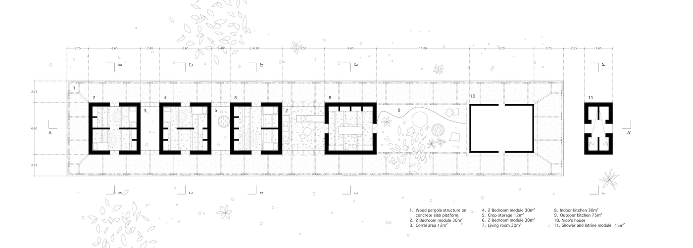 Planta general del conjunto, modulación y programa.